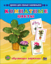Комнатные цветы (обучающие карточки) , арт. 978-5-378-25300-5